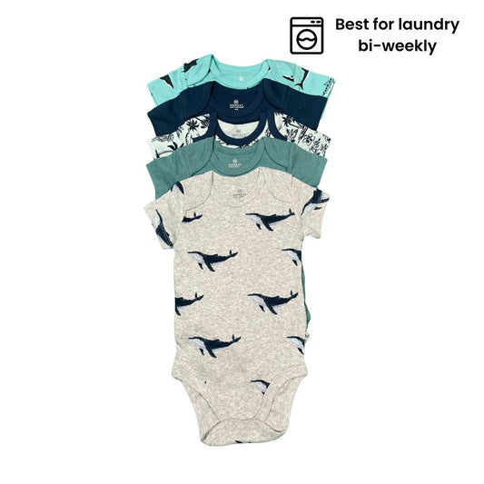 Boy Bundle (37 pieces)